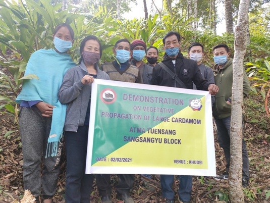 ATMA Tuensang Sangsangnyu block conducted demonstration programmes at Khudei and Buthanbou villages on February 2 and 3 respectively. Resource person Mosa Somba, AFA demonstrated on vegetative propagation of large cardamom, transplanting technique of Solaneceous vegetable, planting technique of bulbous vegetables at the farmer’s field. BTT Convenor, Beso Chang, JSCO performed hands on demonstration on seed treatment and root dipping with Azotobacter and preparation of plant extract for pest management. Managing pest through Yellow sticky card traps was also imparted. Azotobacter and yellow sticky traps were distributed to the 20 participants. (Photo Courtesy: ATMA Tuensang)